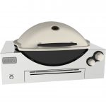 Weber-Q-3600-Built-In-Product