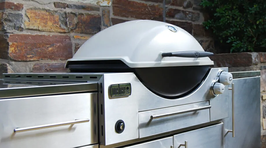 Webber clearance family bbq