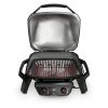 Weber Pulse 2000 Black - Image 2