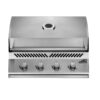 Napoleon 500 Series Built-In 32 - NG