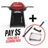 Weber Family Q+ Premium 3200N+ - Flame Red Natural Gas